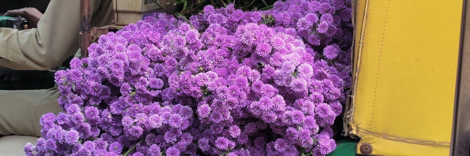 audrey_rushton's profile banner image