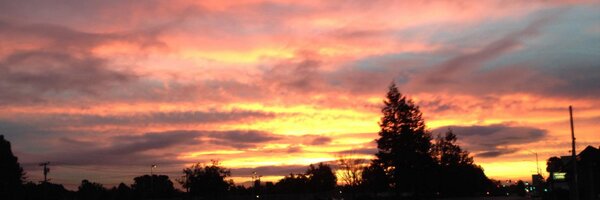 kattell Profile Banner