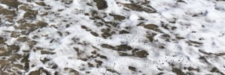 ShanimarieBella's profile banner image