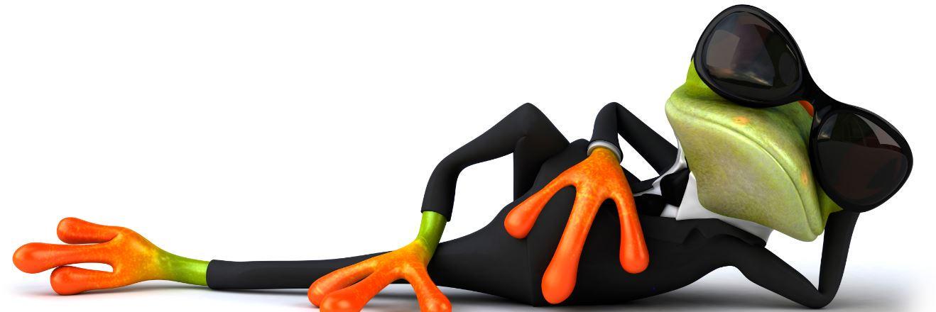 Fabulous Frog banner