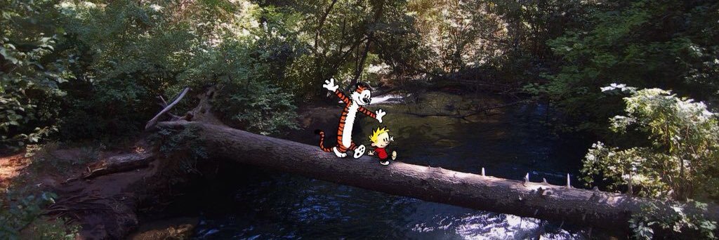 monterossoj's profile banner image