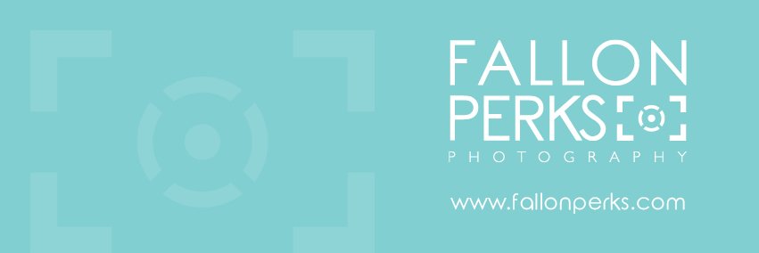 FallonPerks's profile banner image