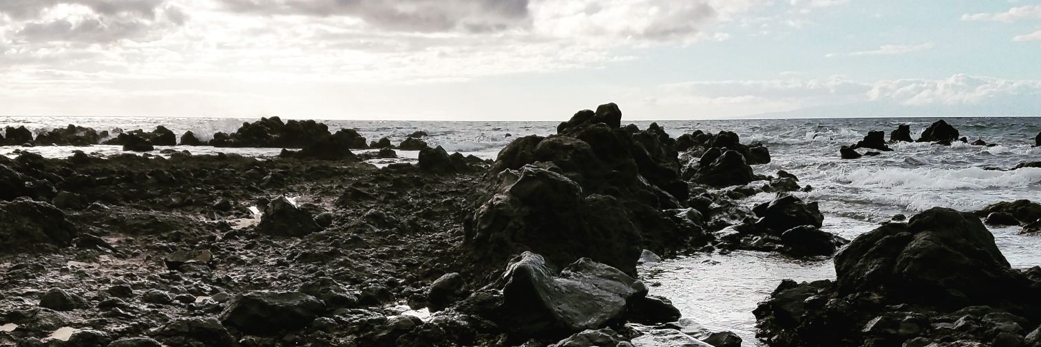 StevenFriend's profile banner image