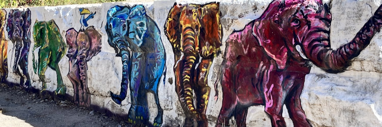 Dr. Ann Marie Luce🇨🇦🌎 banner