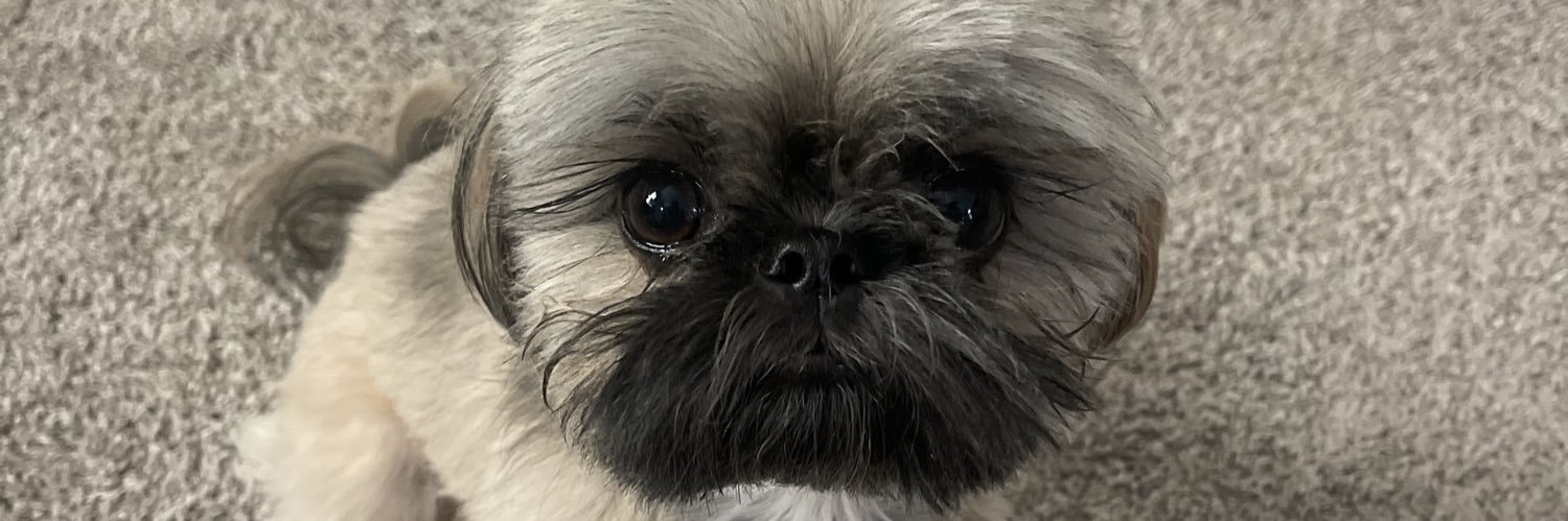 kblossom__'s profile banner image