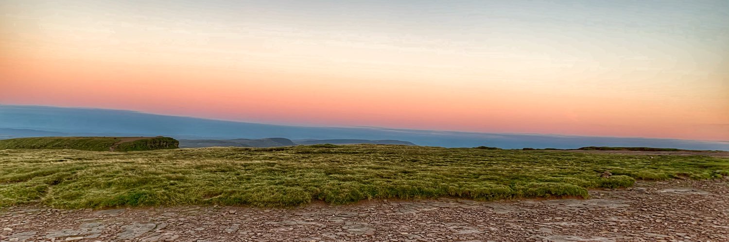 Stephne Puddy (she/her) banner