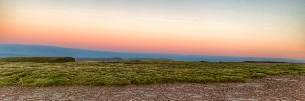 ladypuddy Profile Banner