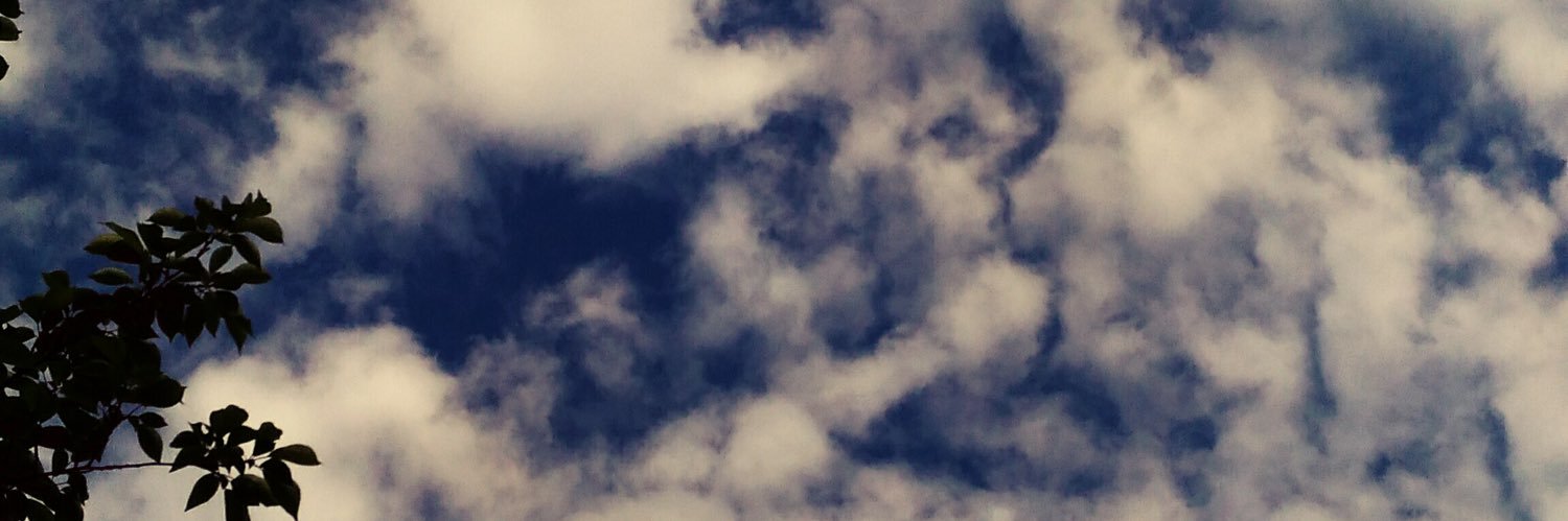 hqrno(春乃) 🍥気圧の変化に敗北中 banner