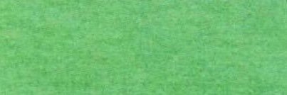 arikuru0415's profile banner image