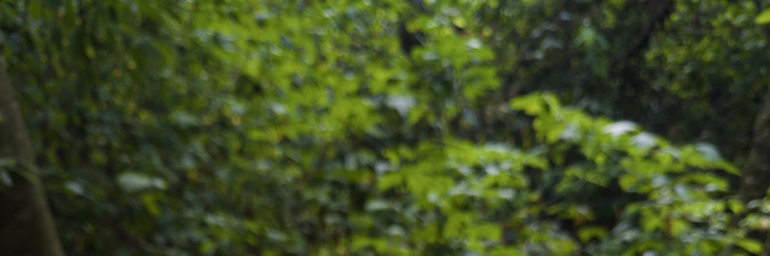 enderchief_'s profile banner image