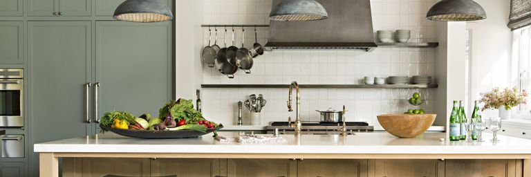 Lisa Shields Sells Homes banner