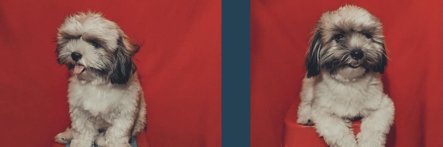 superandreaj's profile banner image