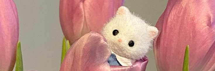 fernispretty's profile banner image