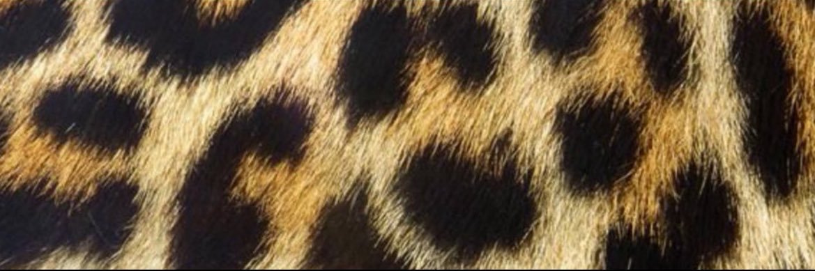 luh_jaybee's profile banner image