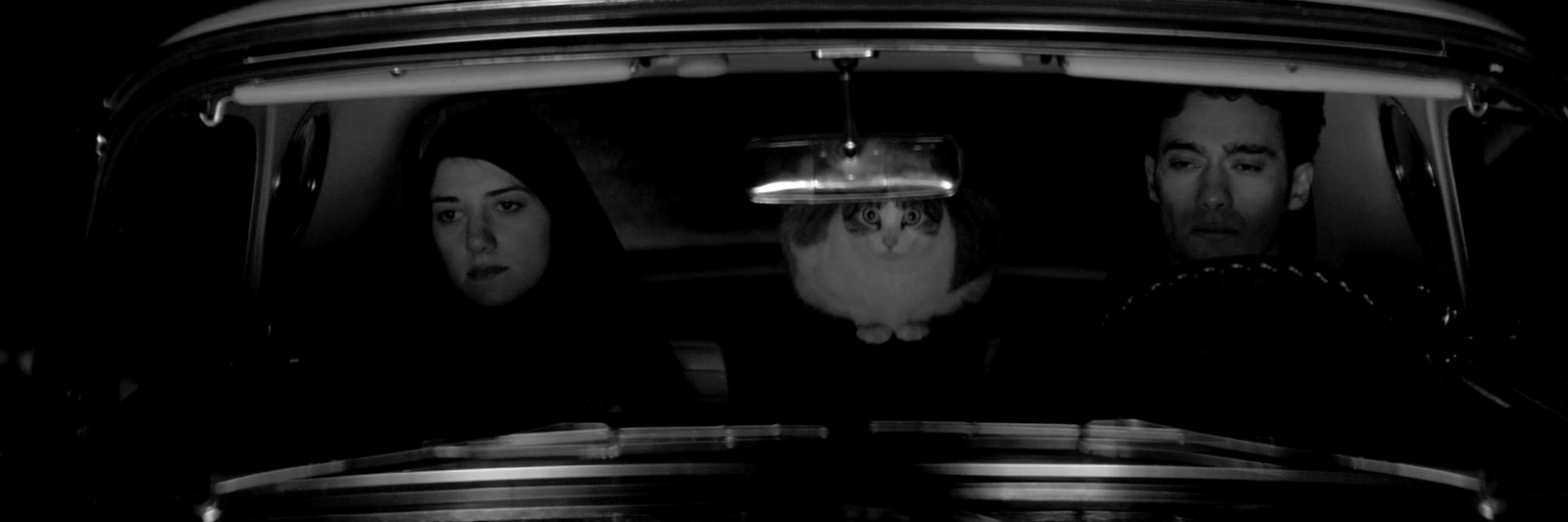 ASvsT's profile banner image