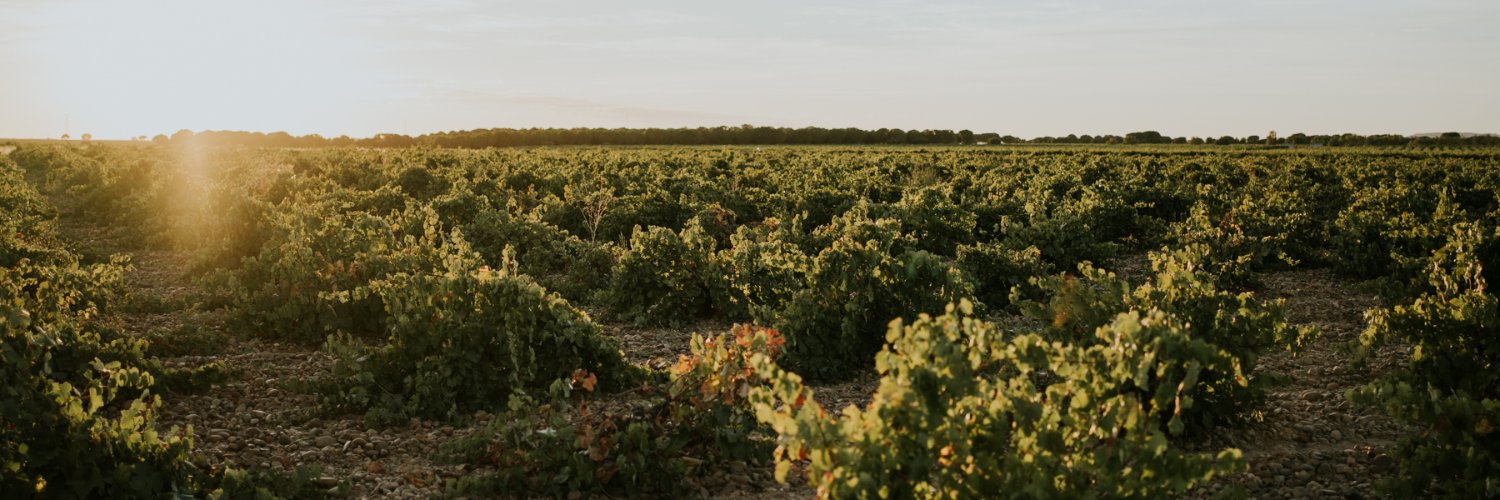 Bodegas José Pariente banner