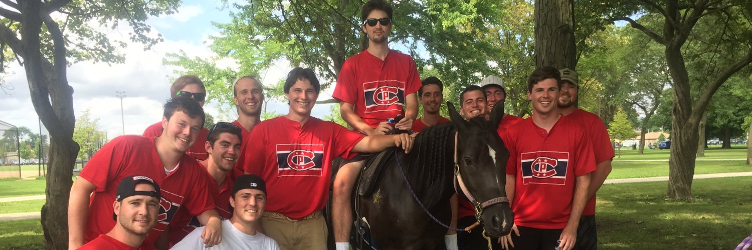 The_Stone_Ponys's profile banner image