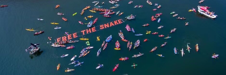 Stewart Maxson banner