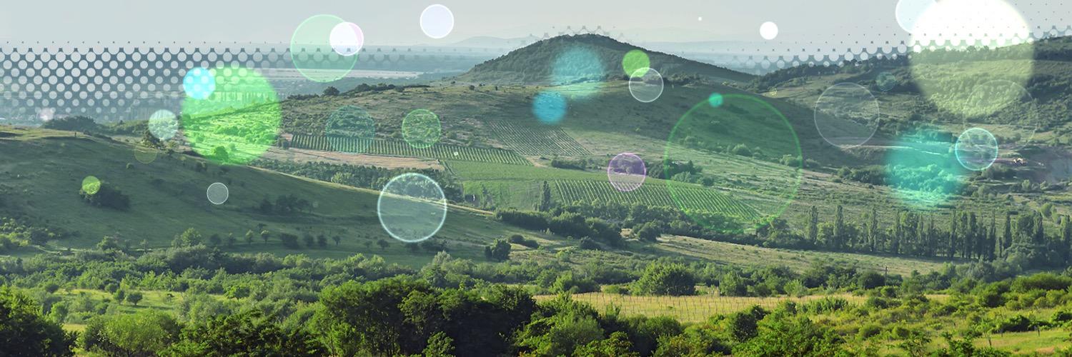 RV Junior Class banner