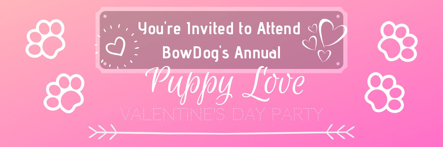 BowDogCalgary's profile banner image