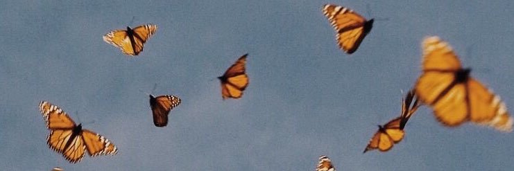 graceehousee's profile banner image