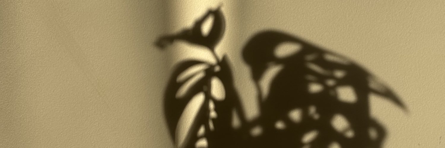 FNCCVZ's profile banner image