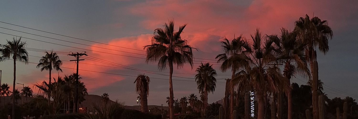 fervaaal's profile banner image