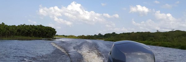 Demoisel_R Profile Banner