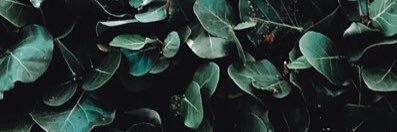 izzydboub's profile banner image