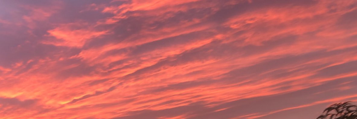 ohsoyoujocey's profile banner image