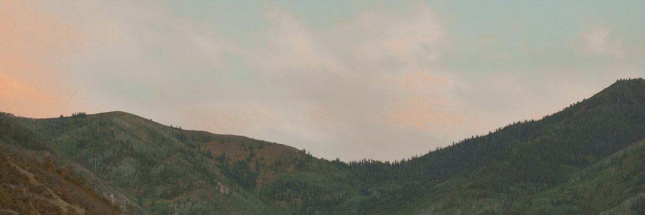 Freddy Shelton banner