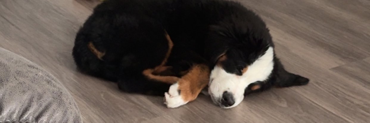 roneayyy's profile banner image