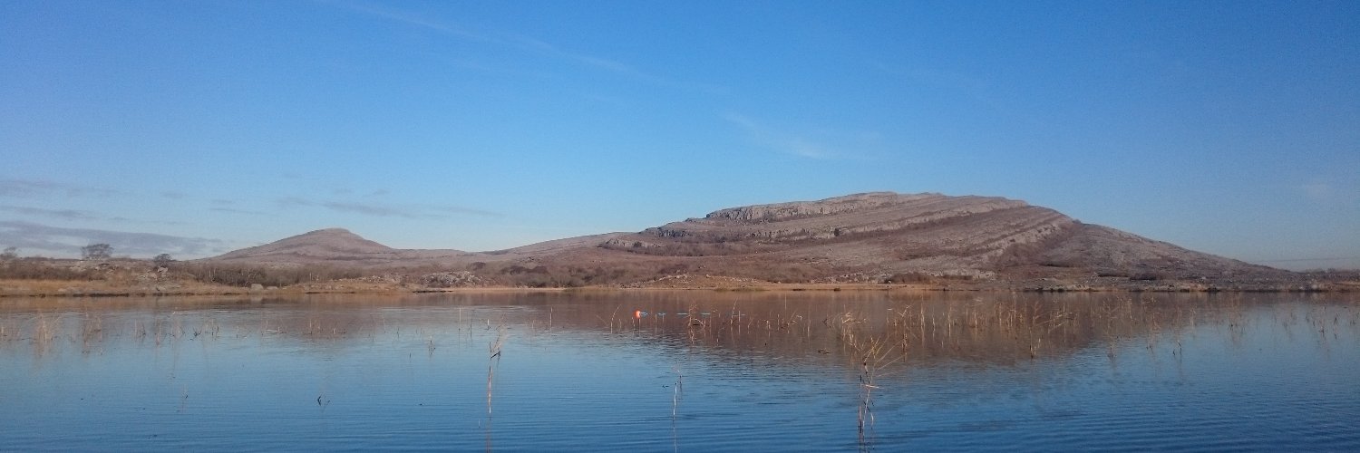 Ted McCormack banner