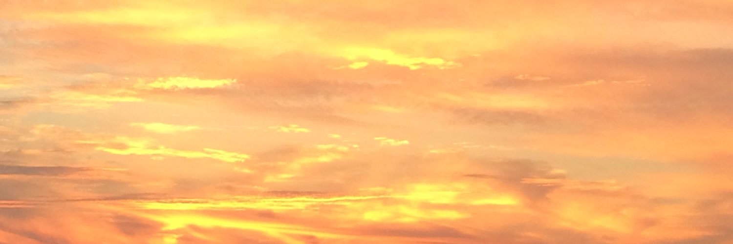 ryo_s_69's profile banner image