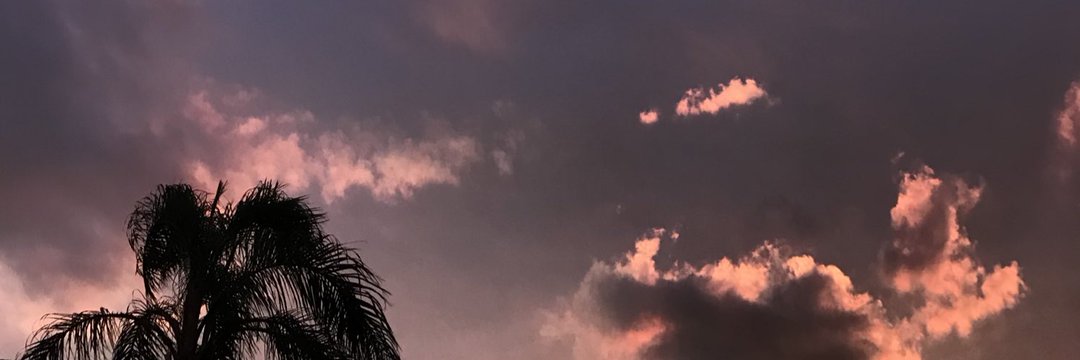 melmmonteyro's profile banner image