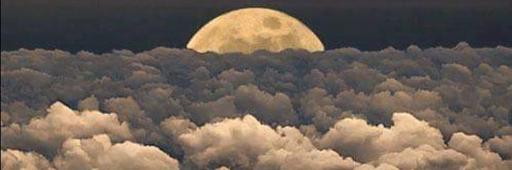 feehh_ribeiiro's profile banner image