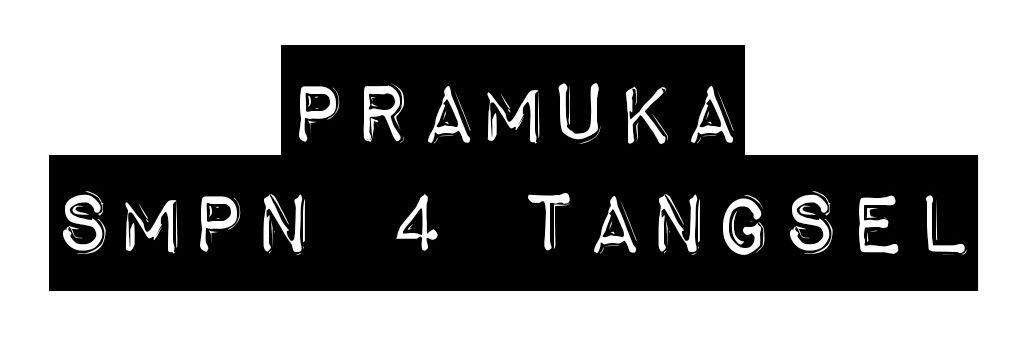 4tsScout's profile banner image