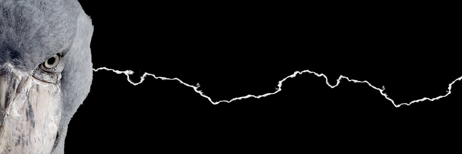 leia_apocrypha's profile banner image