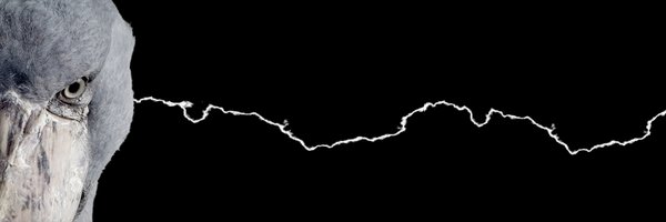 leia_apocrypha Profile Banner
