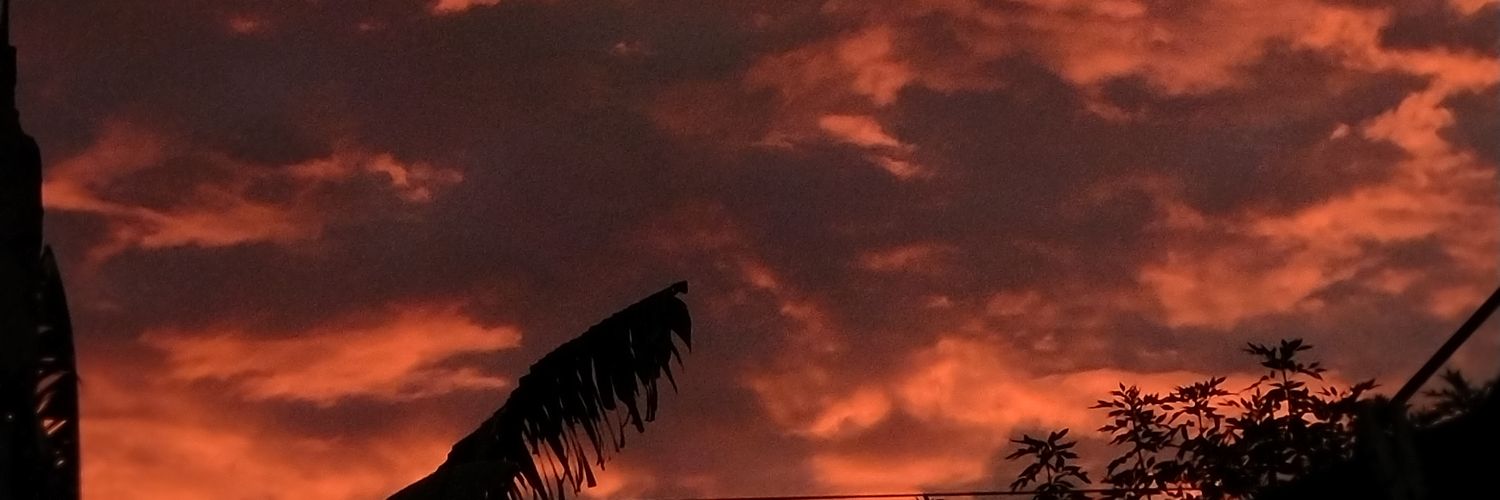 pppalu's profile banner image