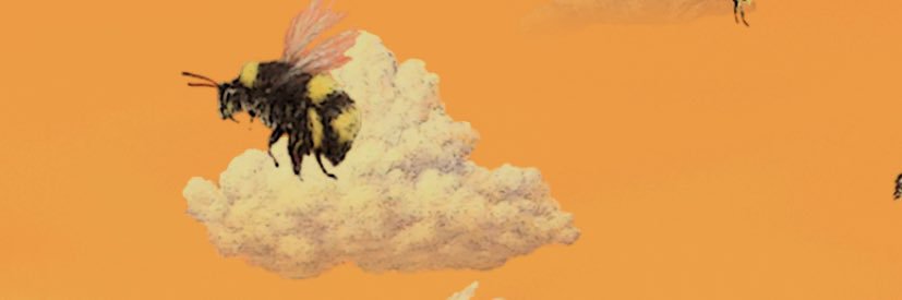 GueroKale's profile banner image