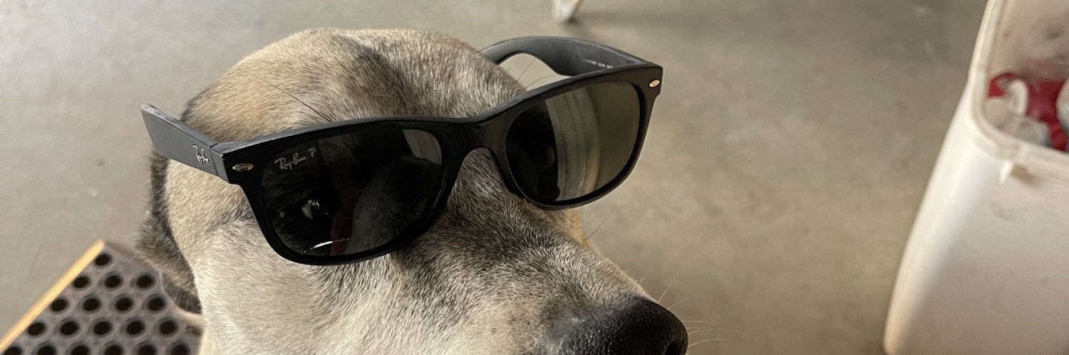lizard_king408's profile banner image