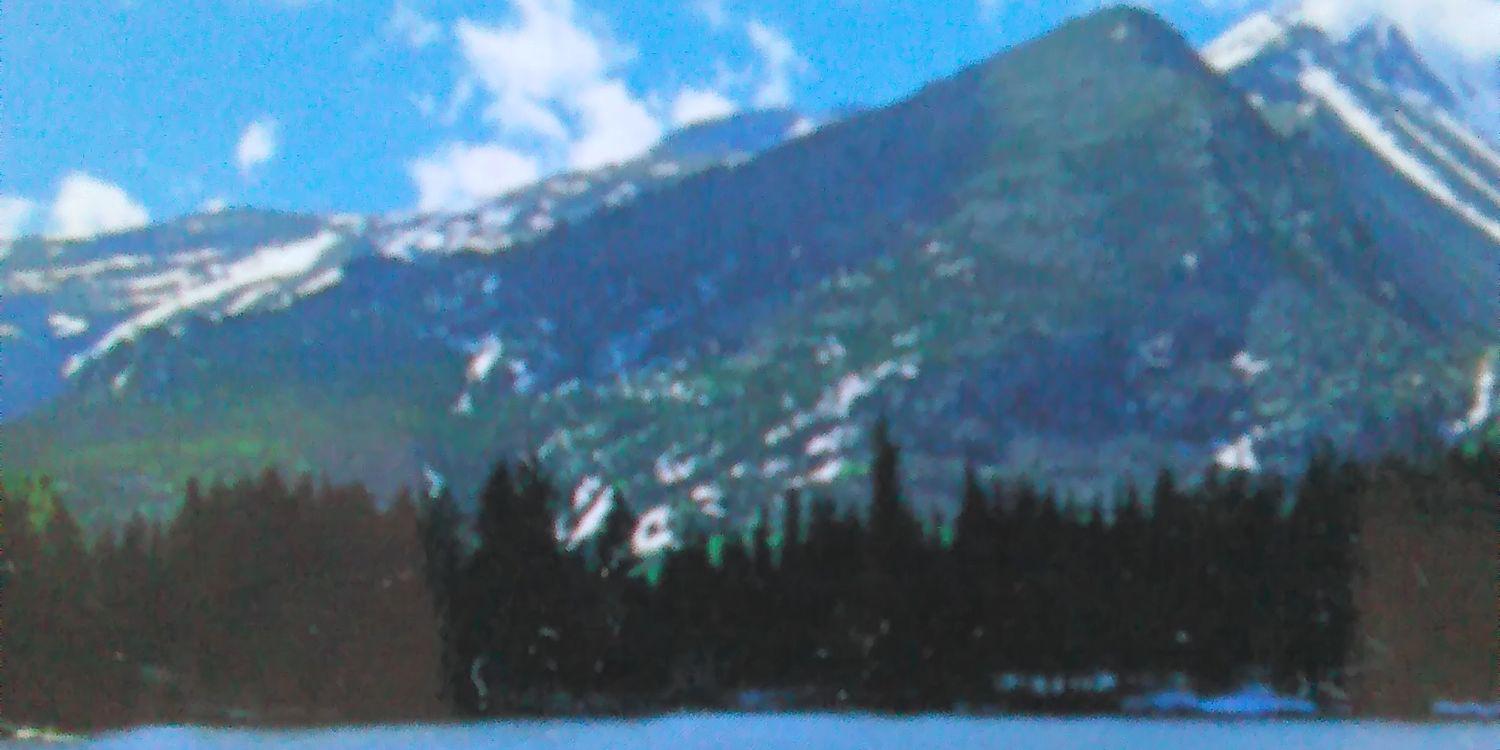 actinstroupid33's profile banner image