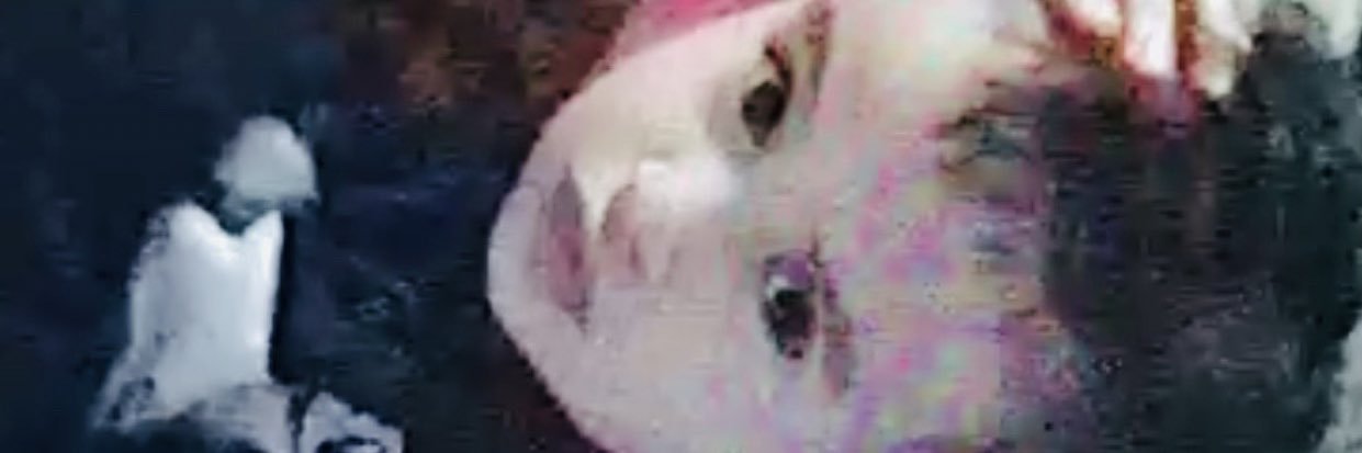 Ernesto2Times's profile banner image