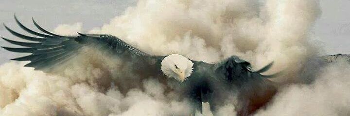 stephen@46DRHOUSE banner