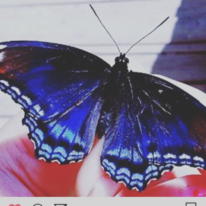 MALSOFINE's profile banner image