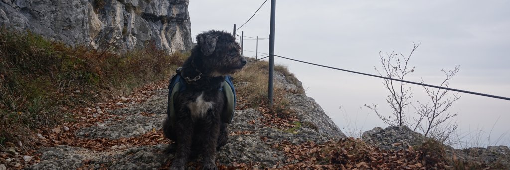 lifewithRemy's profile banner image