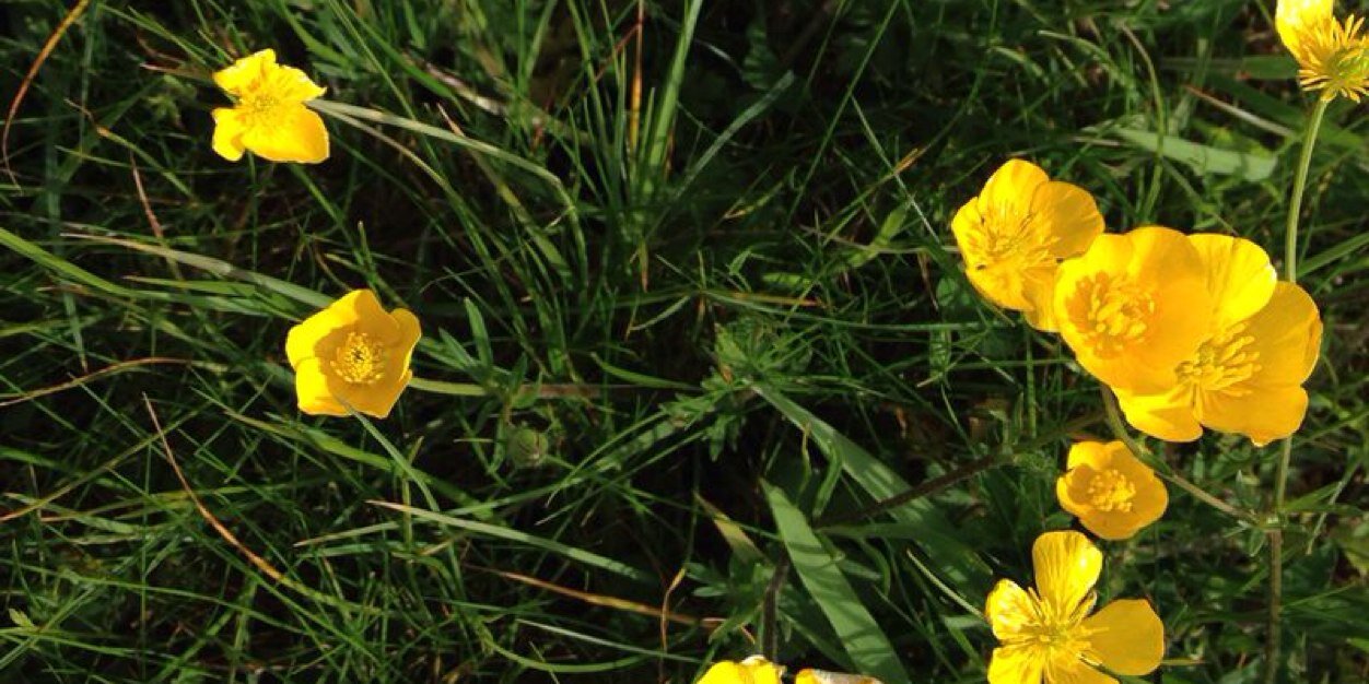 MadeleineLast's profile banner image