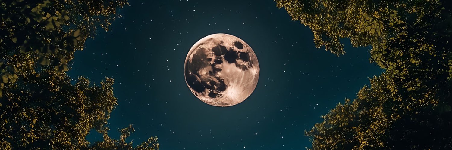 FRGHTN's profile banner image
