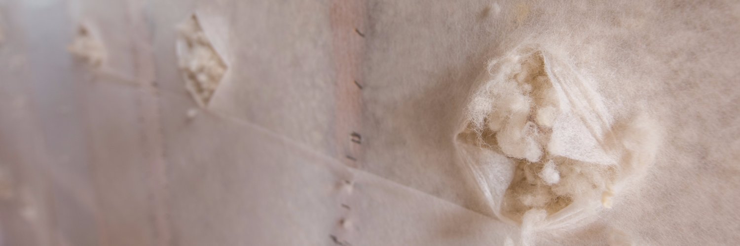 HavelockWool's profile banner image